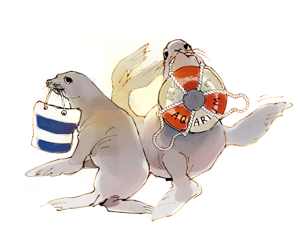 Aquarium13.png