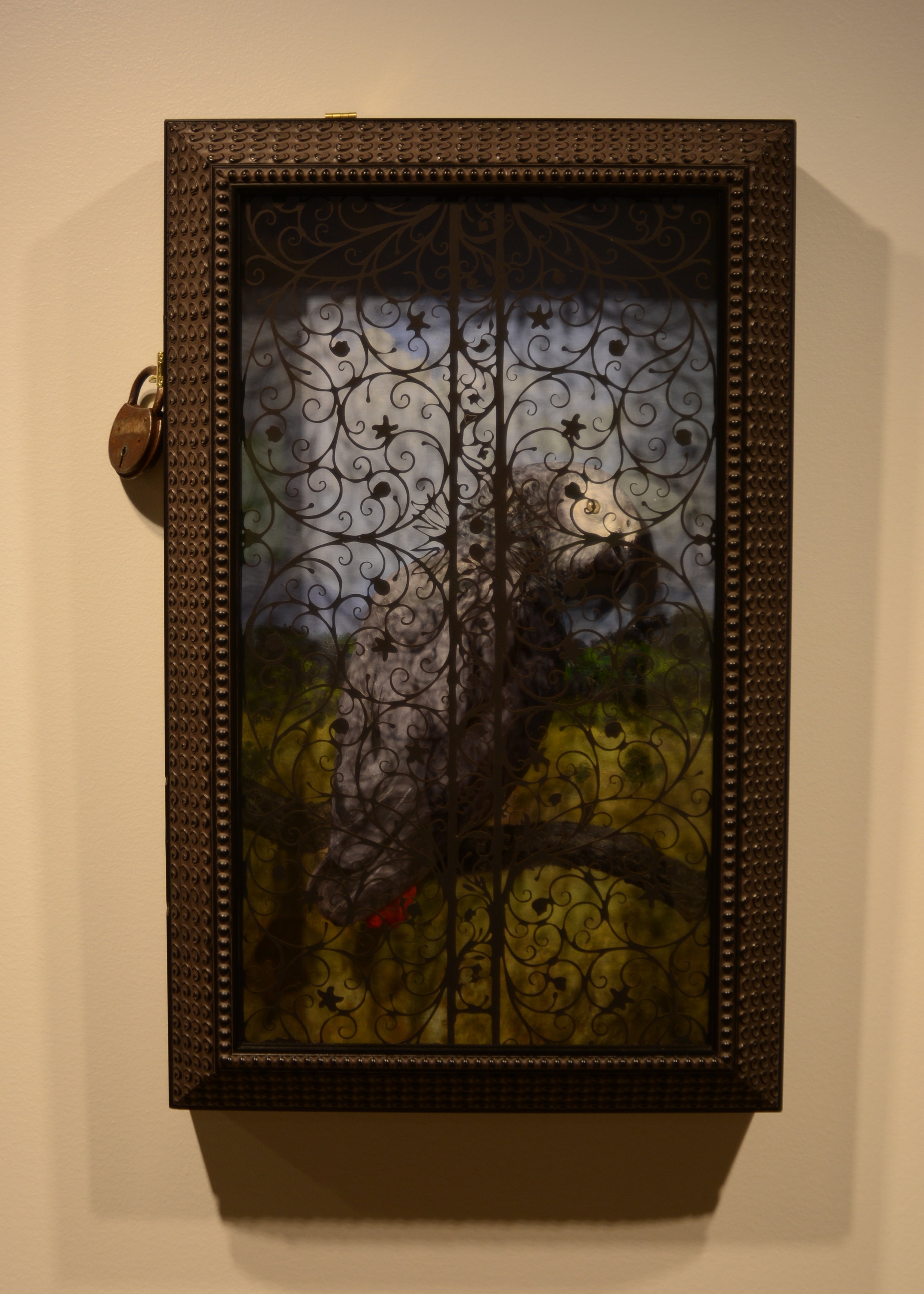 Parrot Indulgences by Nicholas Jainschigg