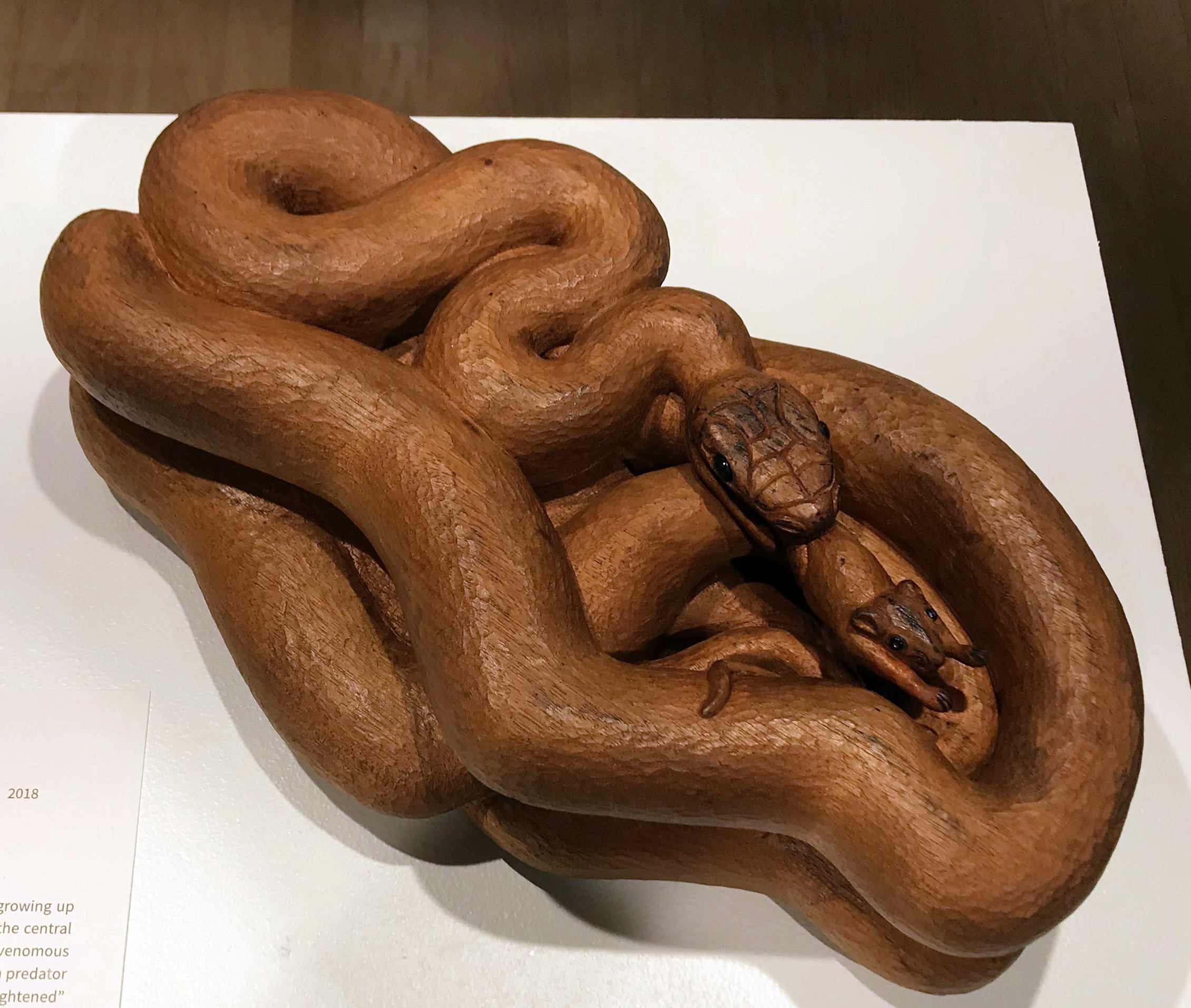 Black Rat Snake Devouring a Mouse by Roy Nydorf