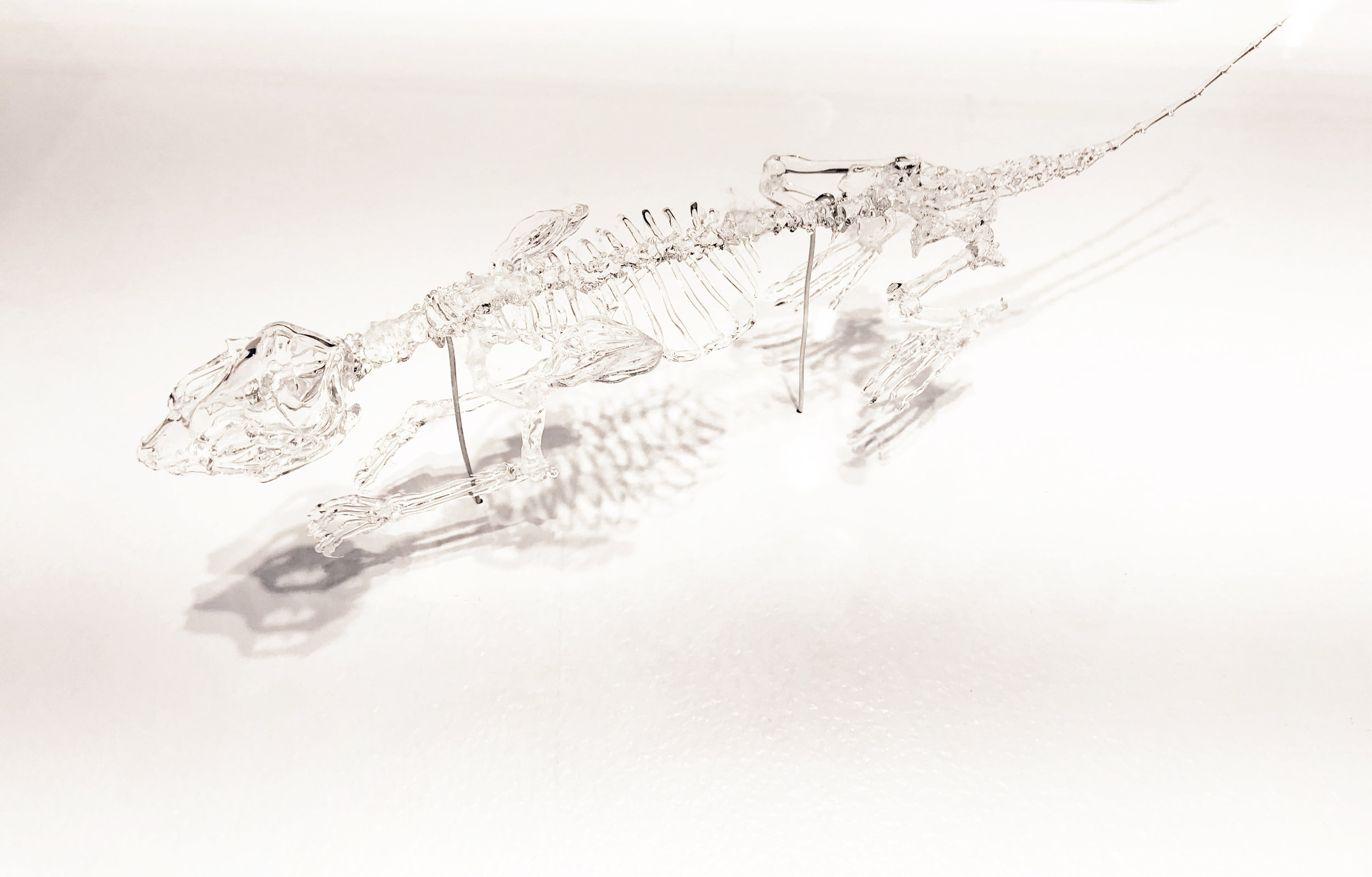 Le Due Compagni per la Vita (The Two Partners for Life) by Carina Cheung