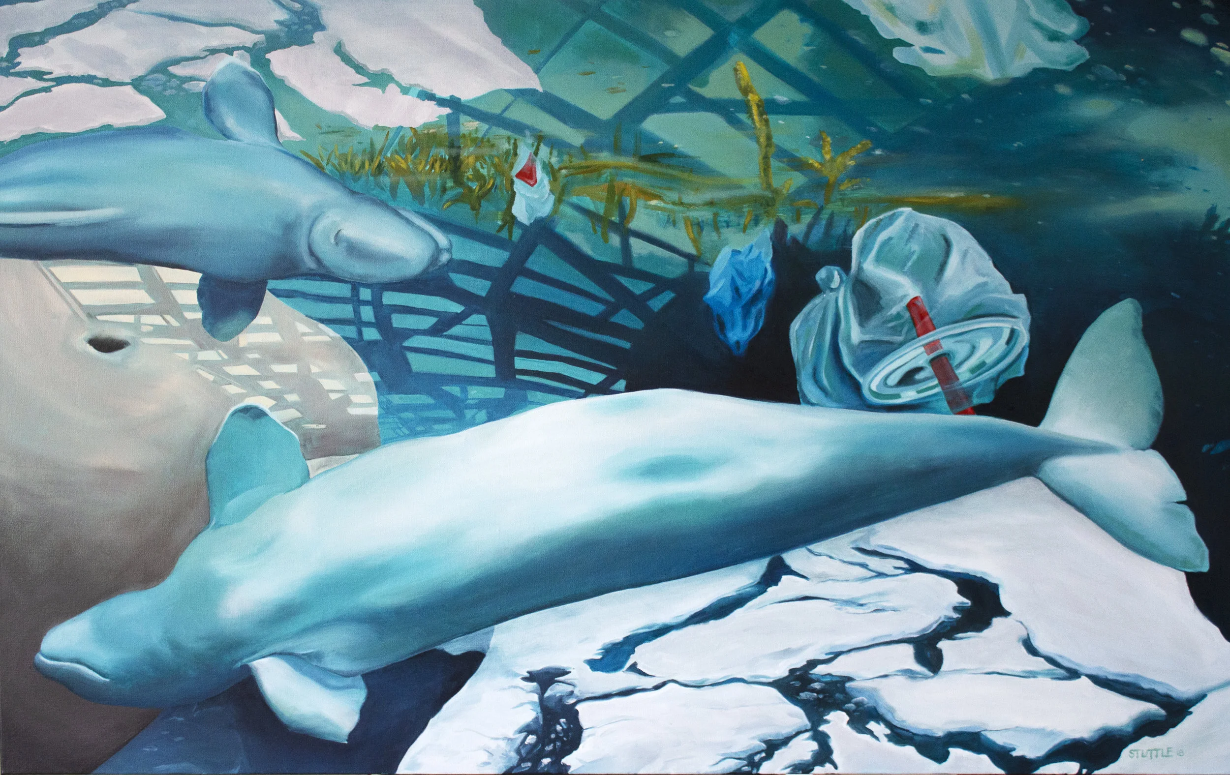 Belugas.jpg