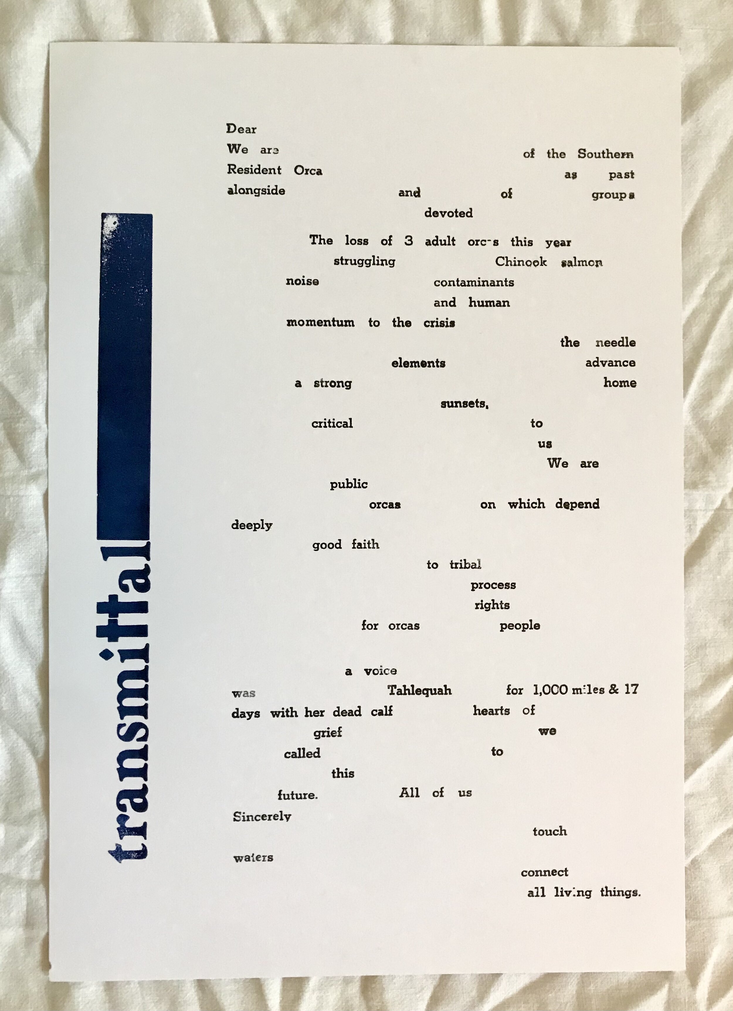 A redaction/text-by-erasure of the Co-Chair Letter of Transmittal from the final report of the Orca Task Force. By Sophia McLain