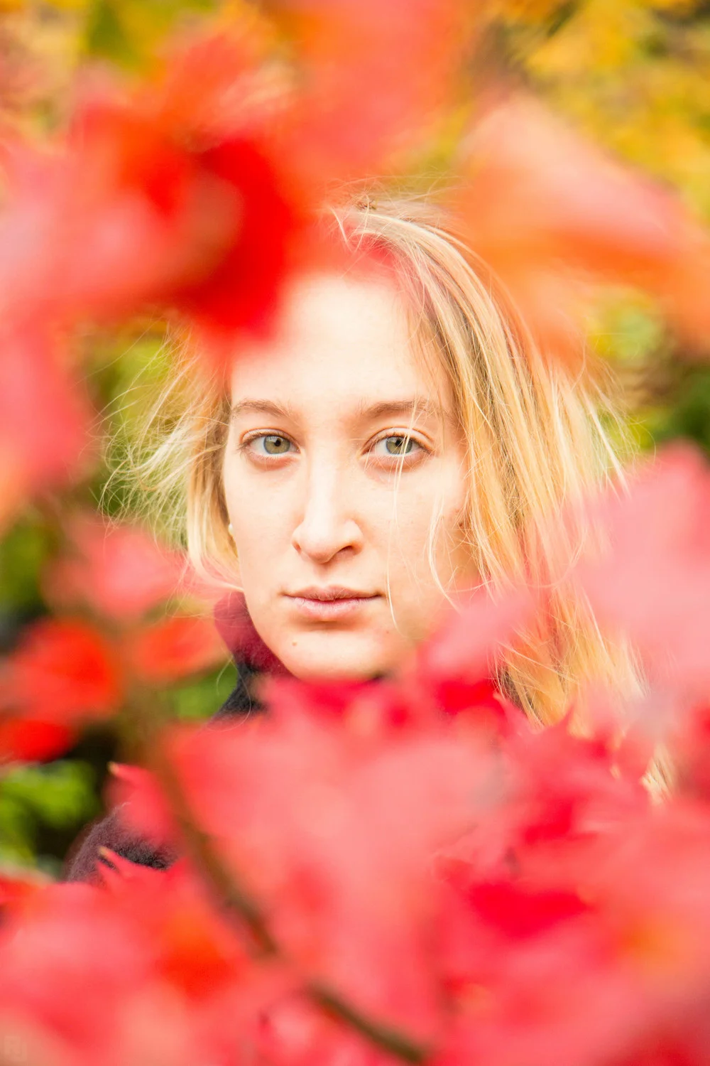 Julia Marmo