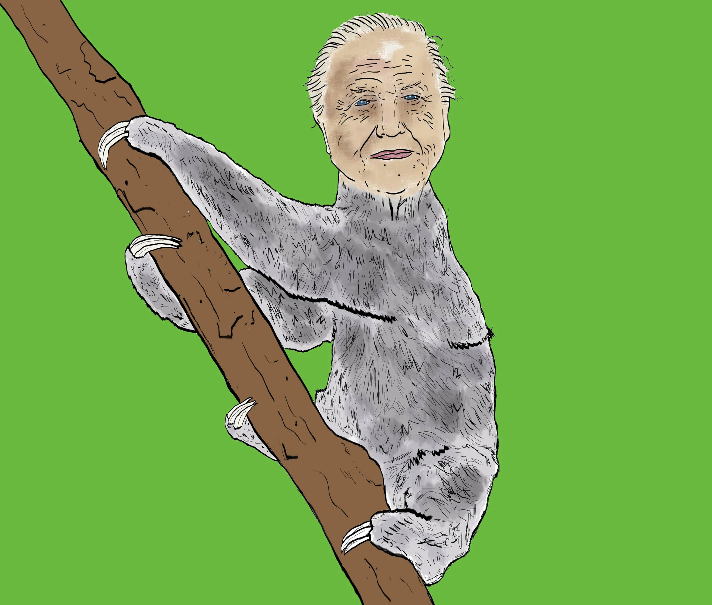 Sir Sloth
