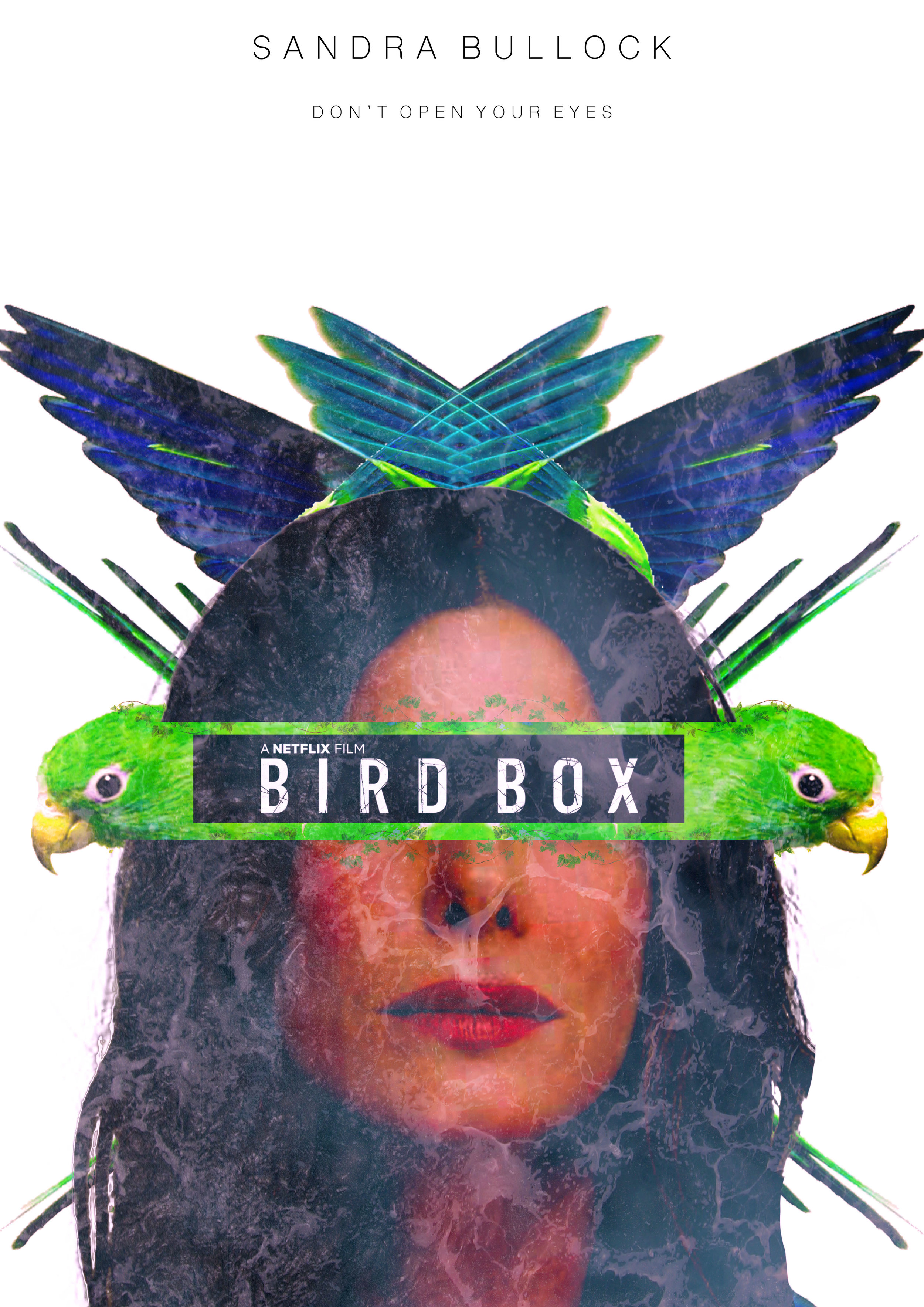 Bird Box