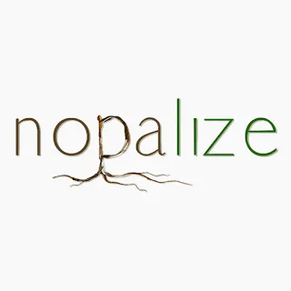 NOPALIZE.TUMBLR.COM: Nopa Bees & Protecting Pollination