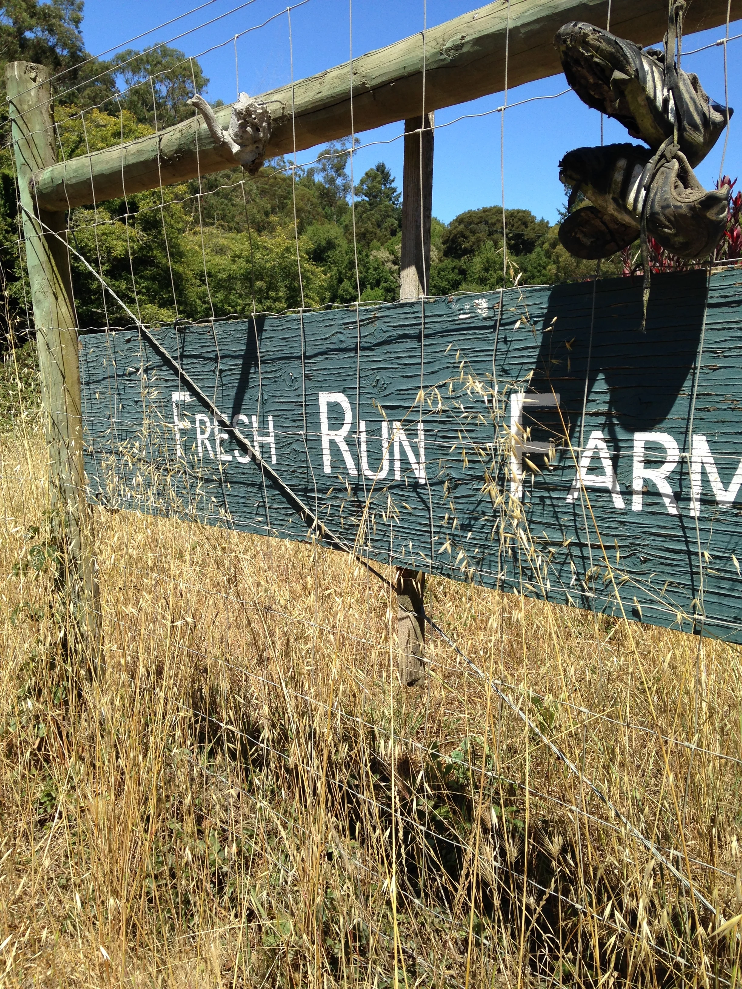 Terra Madre, Italy and Slow Food, USA