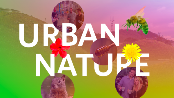 NightLife: Urban Nature NightLife