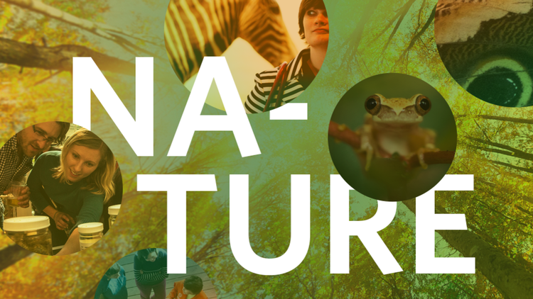 CALIFORNIA ACADEMY OF SCIENCES NATURE NIGHTLIFE