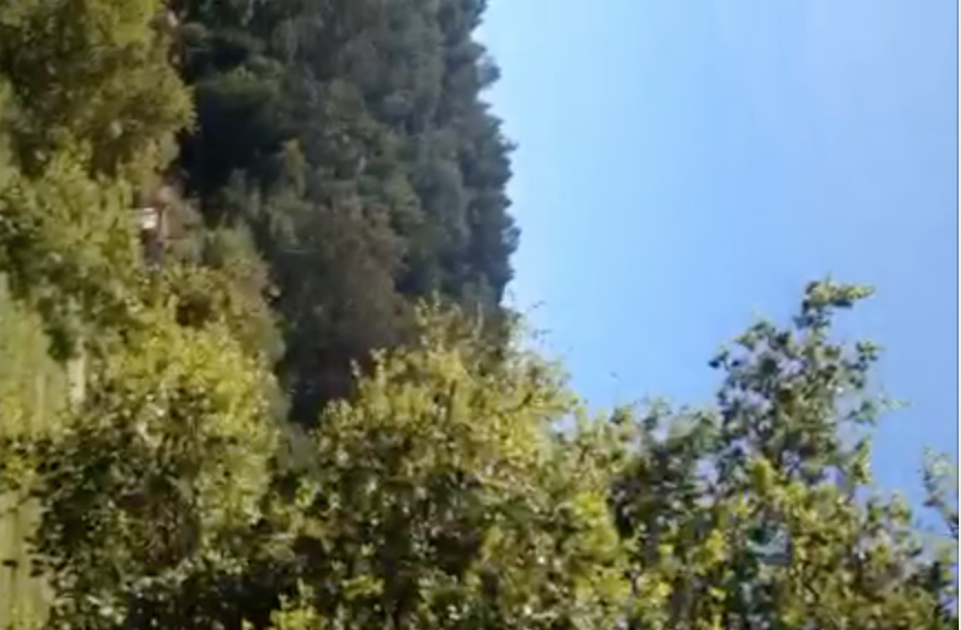 VISIT TO FRESH RUN FARM