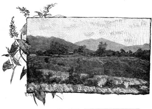 JOHN MUIR / THE MOUNTAINS OF CALIFORNIA / THE BEE PASTURES