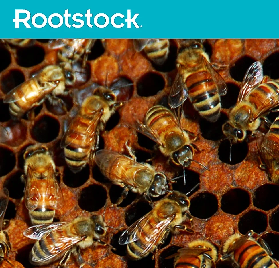 Rootstock Radio With Terry Oxford: Sustainable Urban Beekeeping