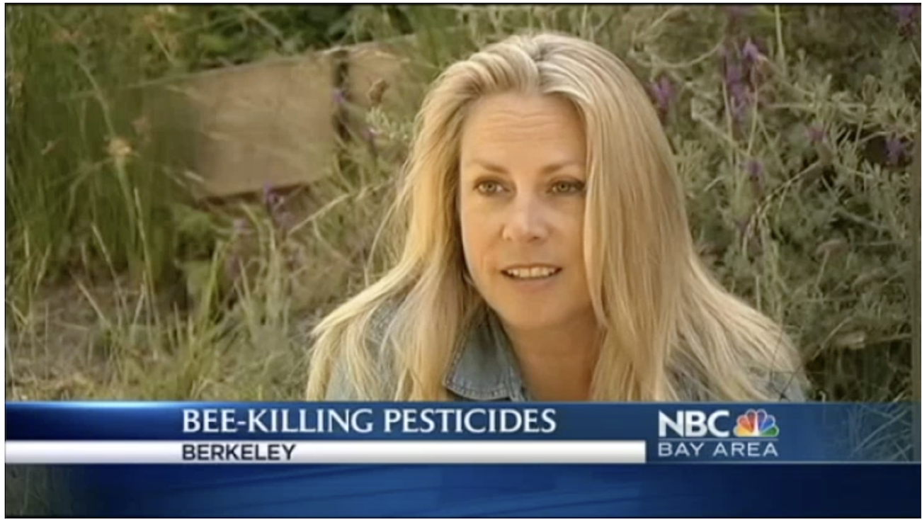 Interview about Neonics with NBC Bay Area