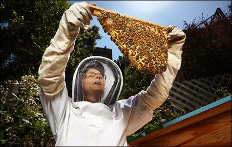 Excellent article about neonics by Sam Levin featuring Terry Oxford