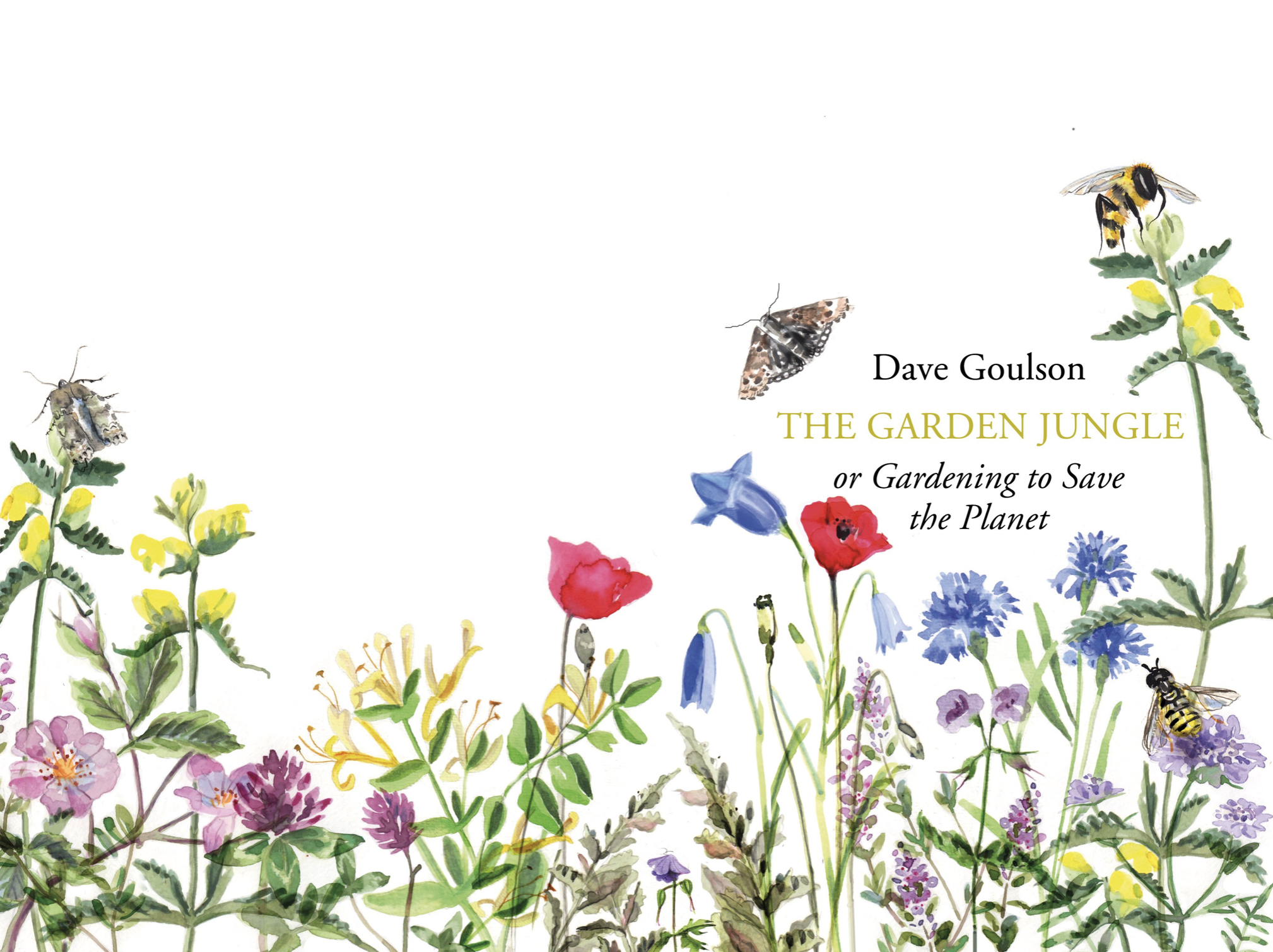 Podcast: Pollinators and Power with PROFESSOR DAVE GOULSON