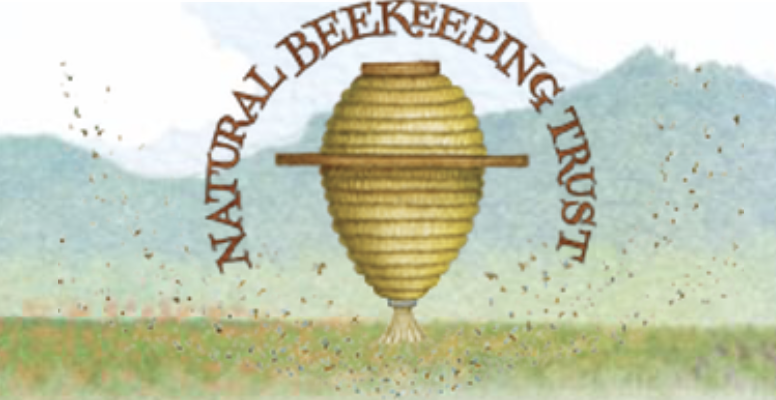 Moderator and Speaker at Learning from the Bees Conference, The Netherlands