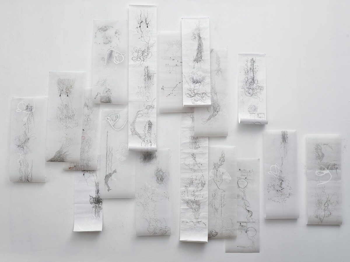 Study for Soundings (paper scrolls)