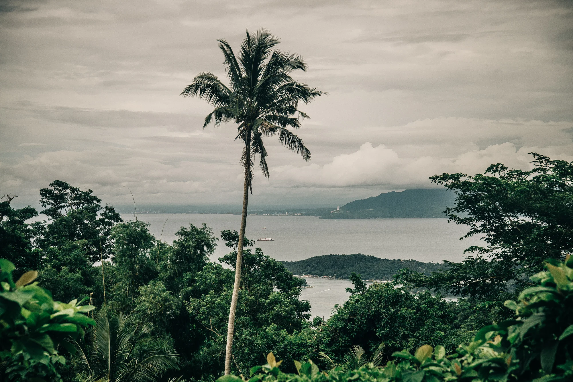 The view from Stairways recently acquired land