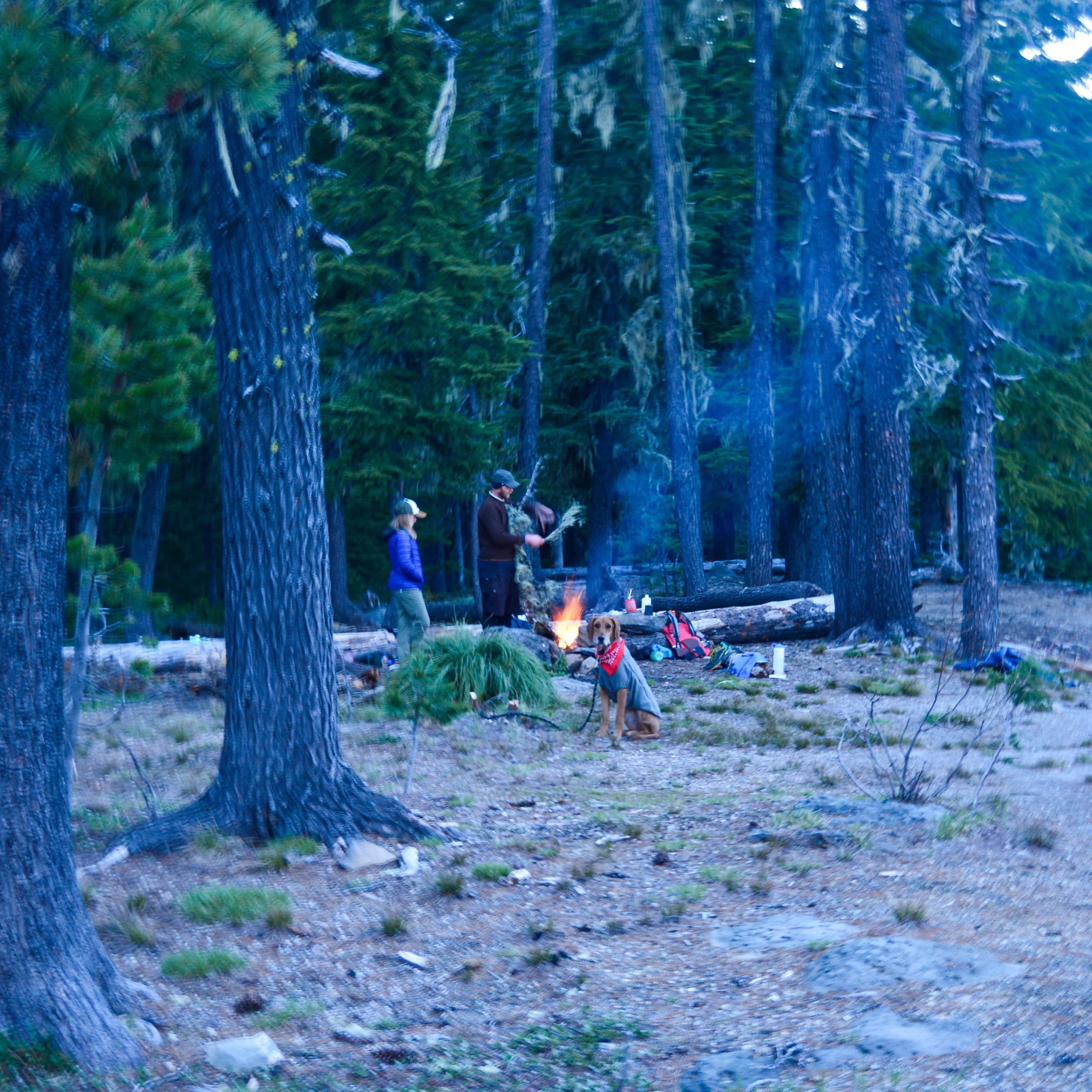 Memorial Day Backpacking