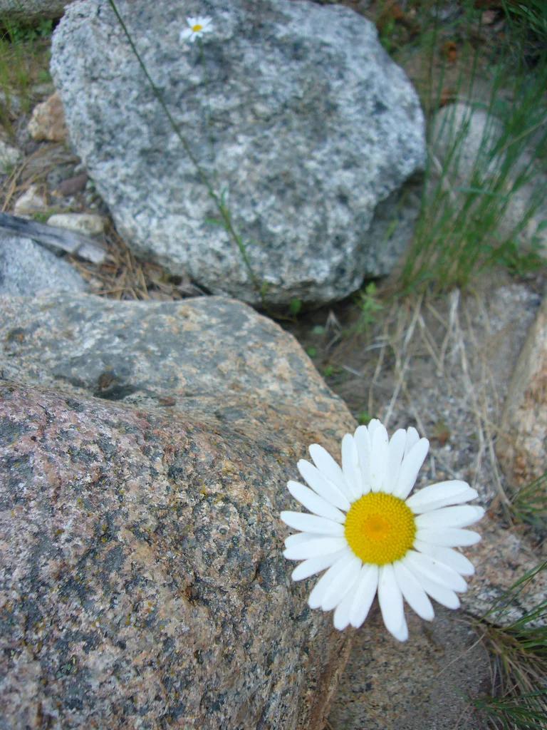 6024656266_1256442cdf_b.jpg