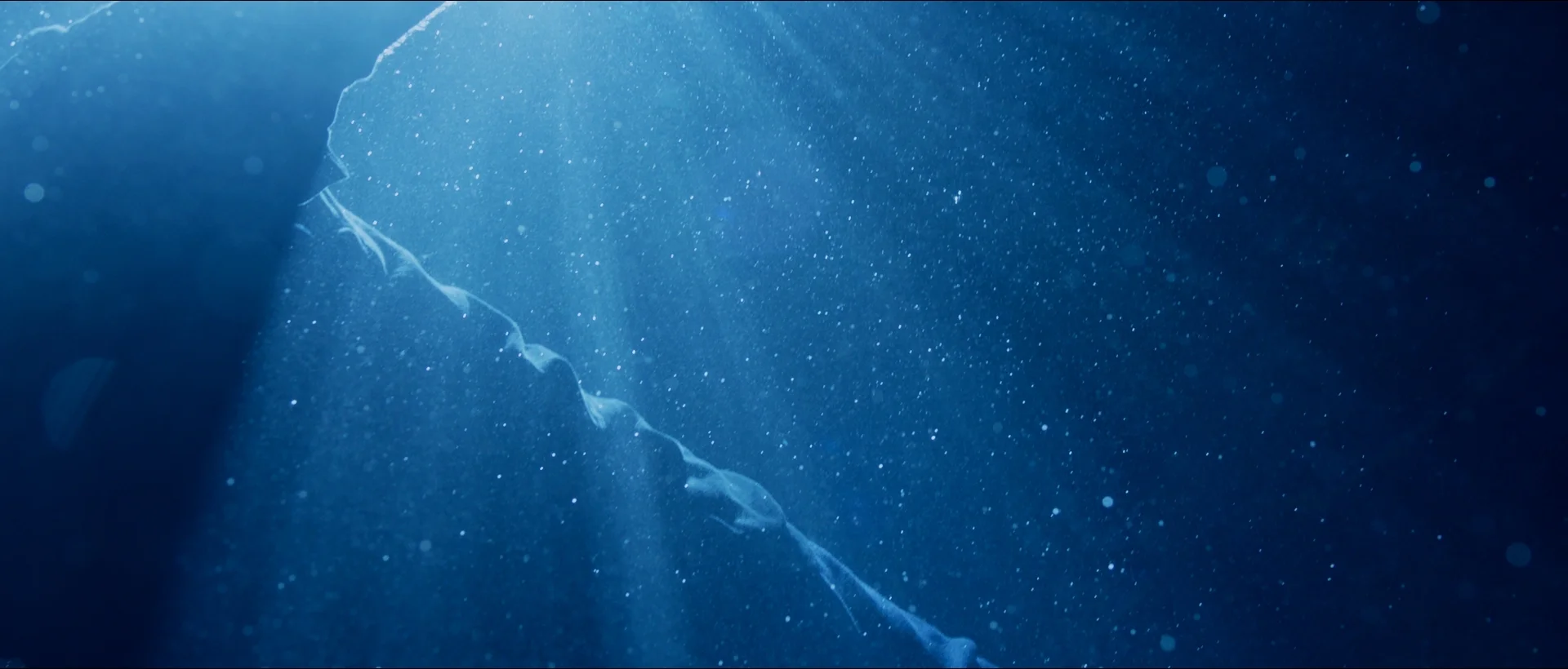 derrick underwater shot 4_1.3.2.JPG