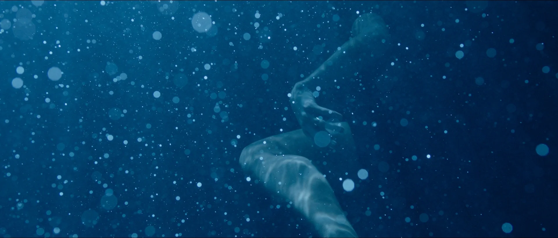 derrick underwater shot3_1.3.1.JPG