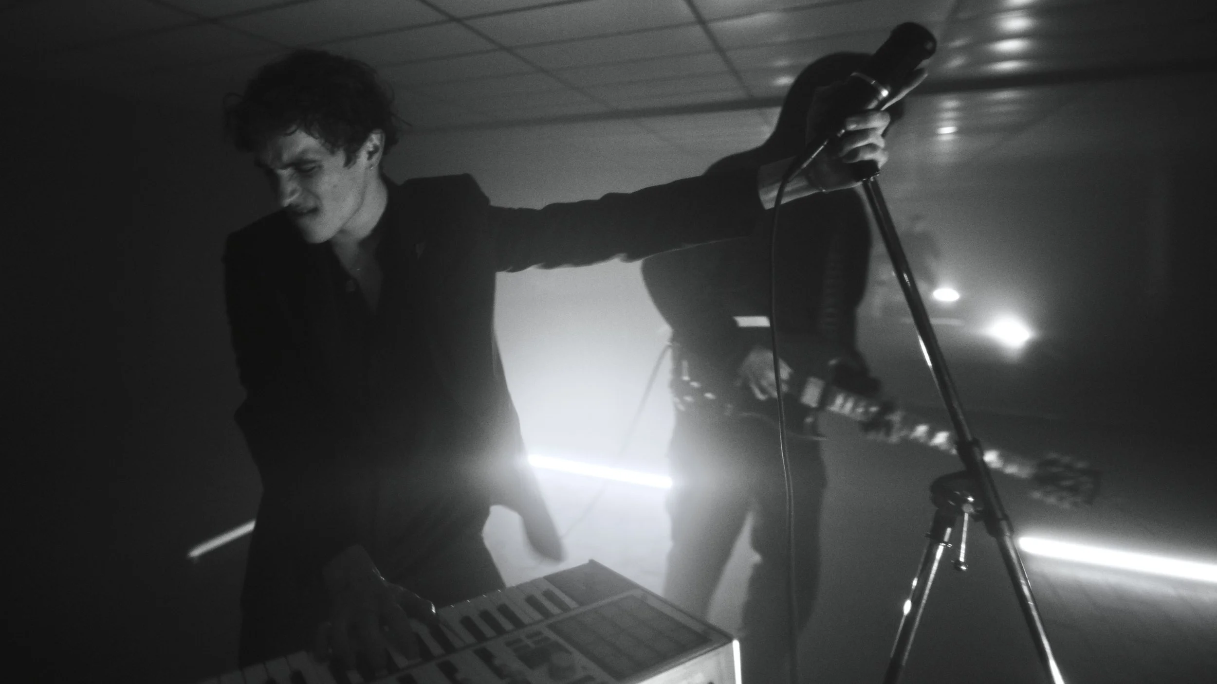 Tarrot Stills_1.3.27.jpeg