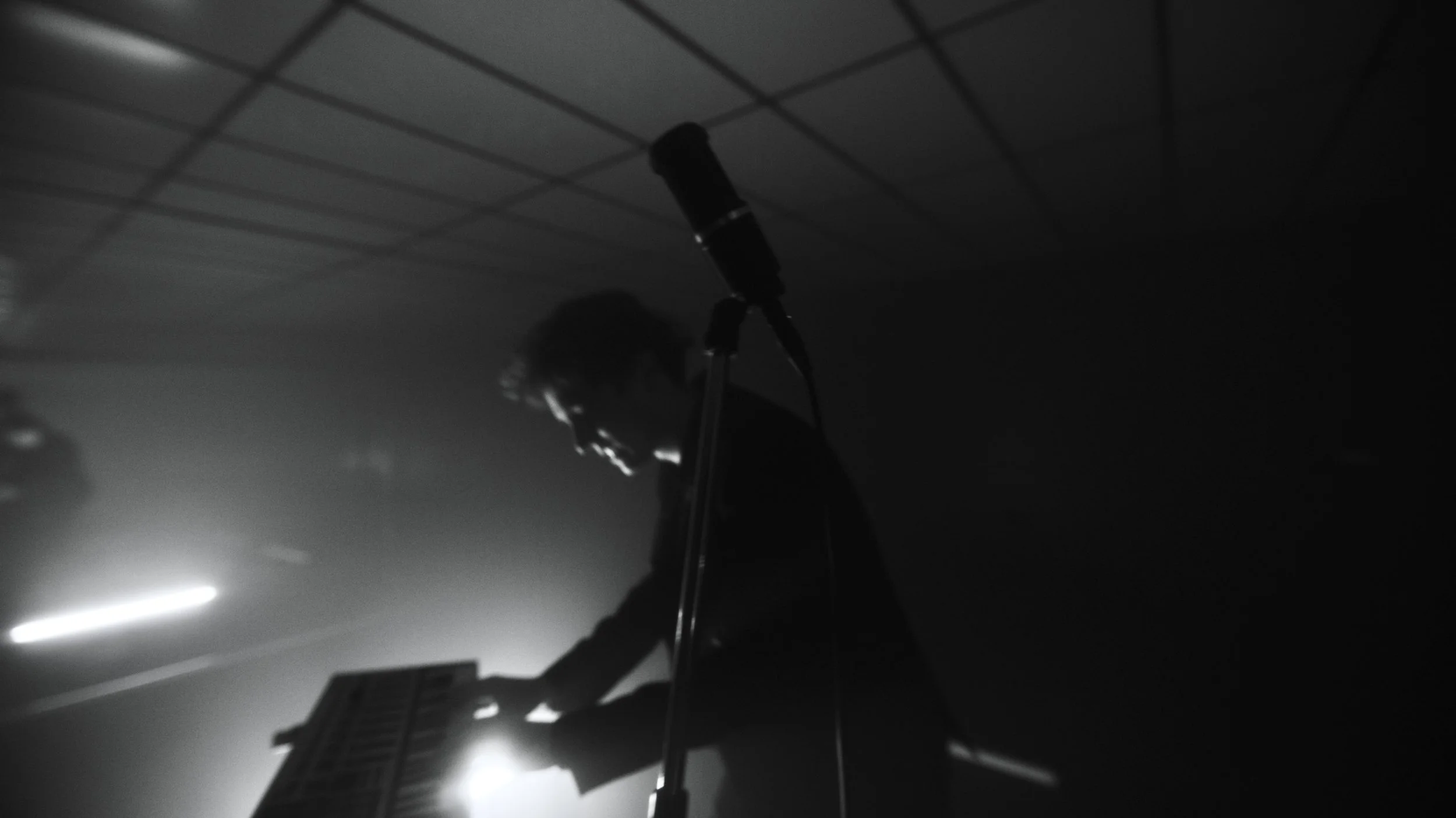 Tarrot Stills_1.3.59.jpeg