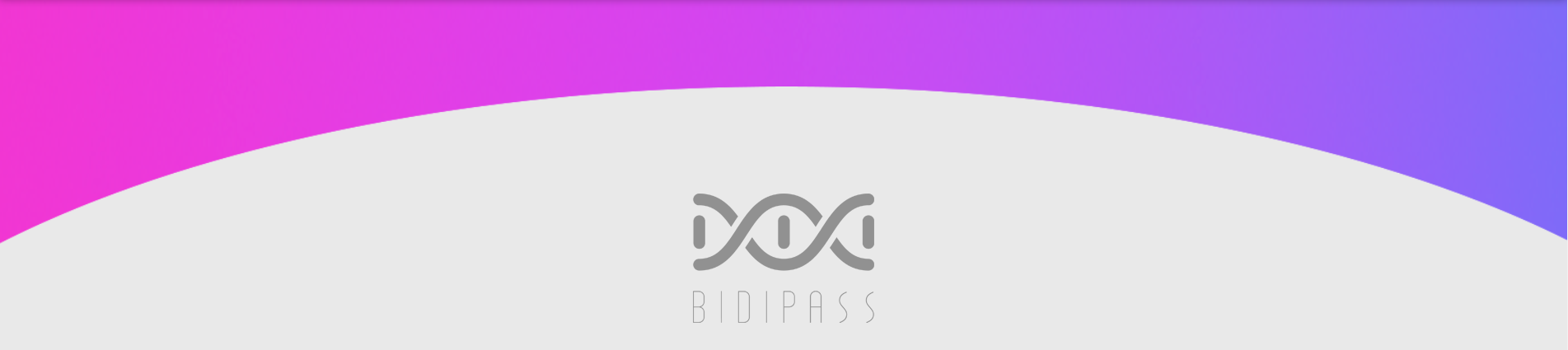 BidiPass – Security for Digital Interactions