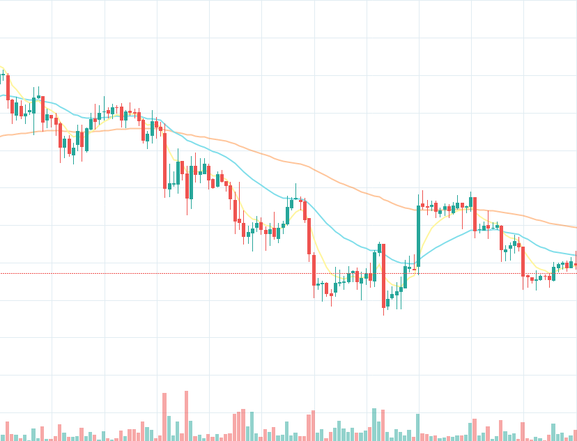 Top 10 Recap - July 26th, 2019