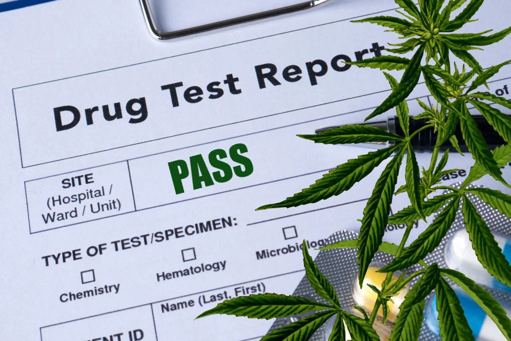 cannabis-testing.jpg
