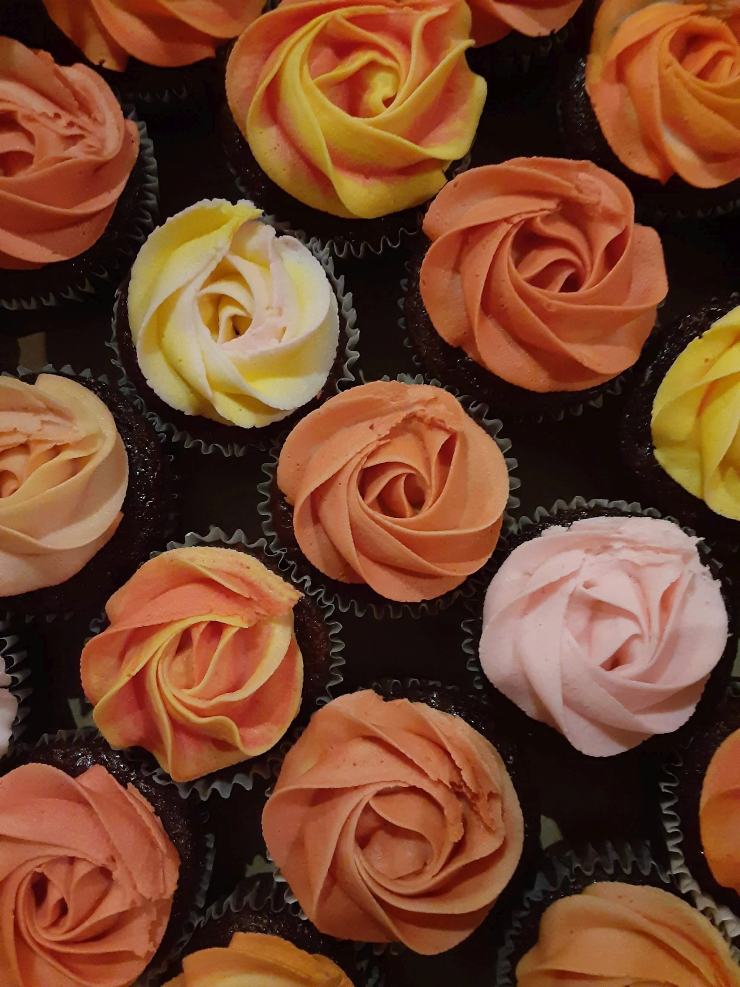 Fall Colors Cupcakes.jpg