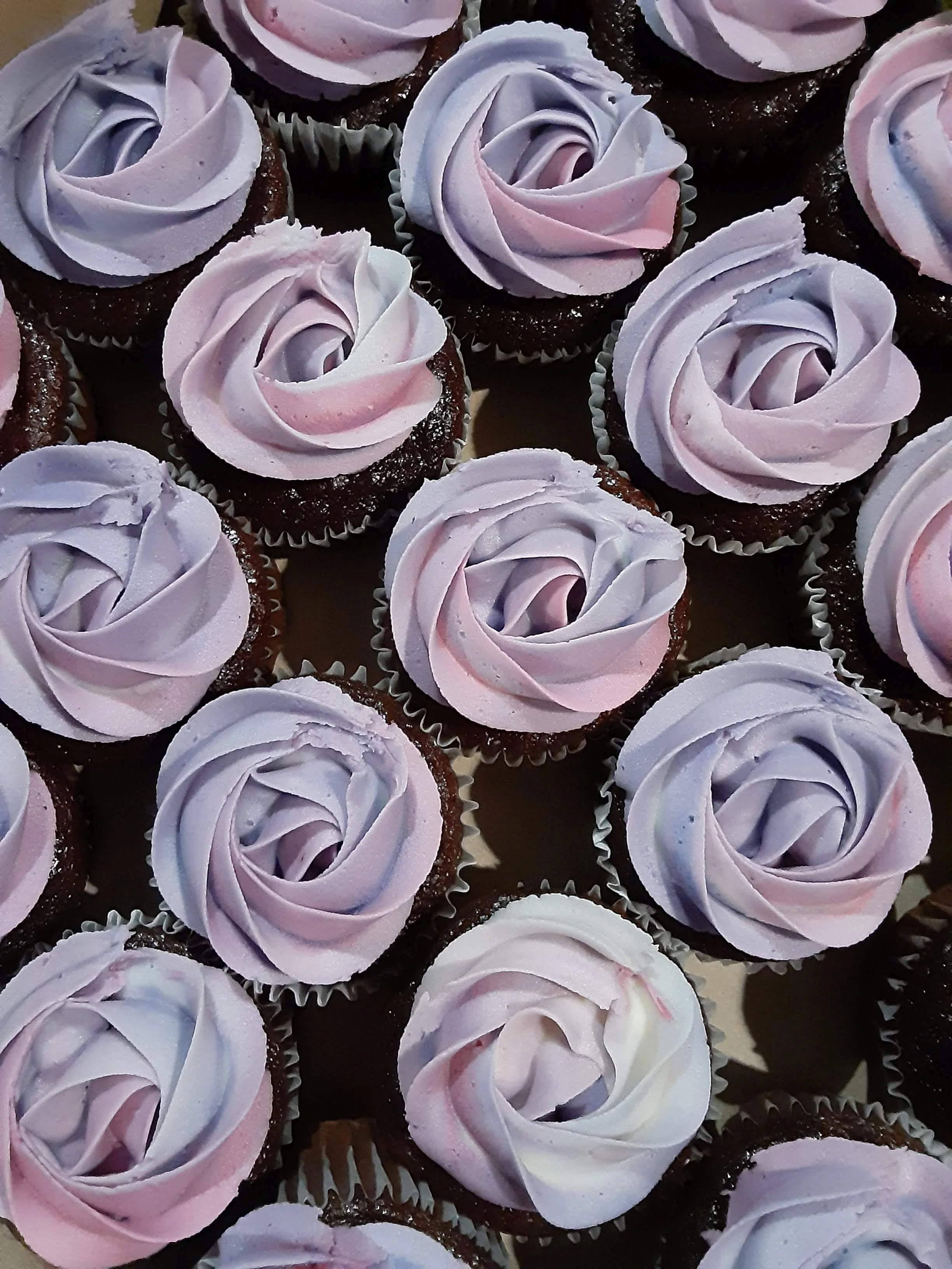 Purple Cupcakes.jpg