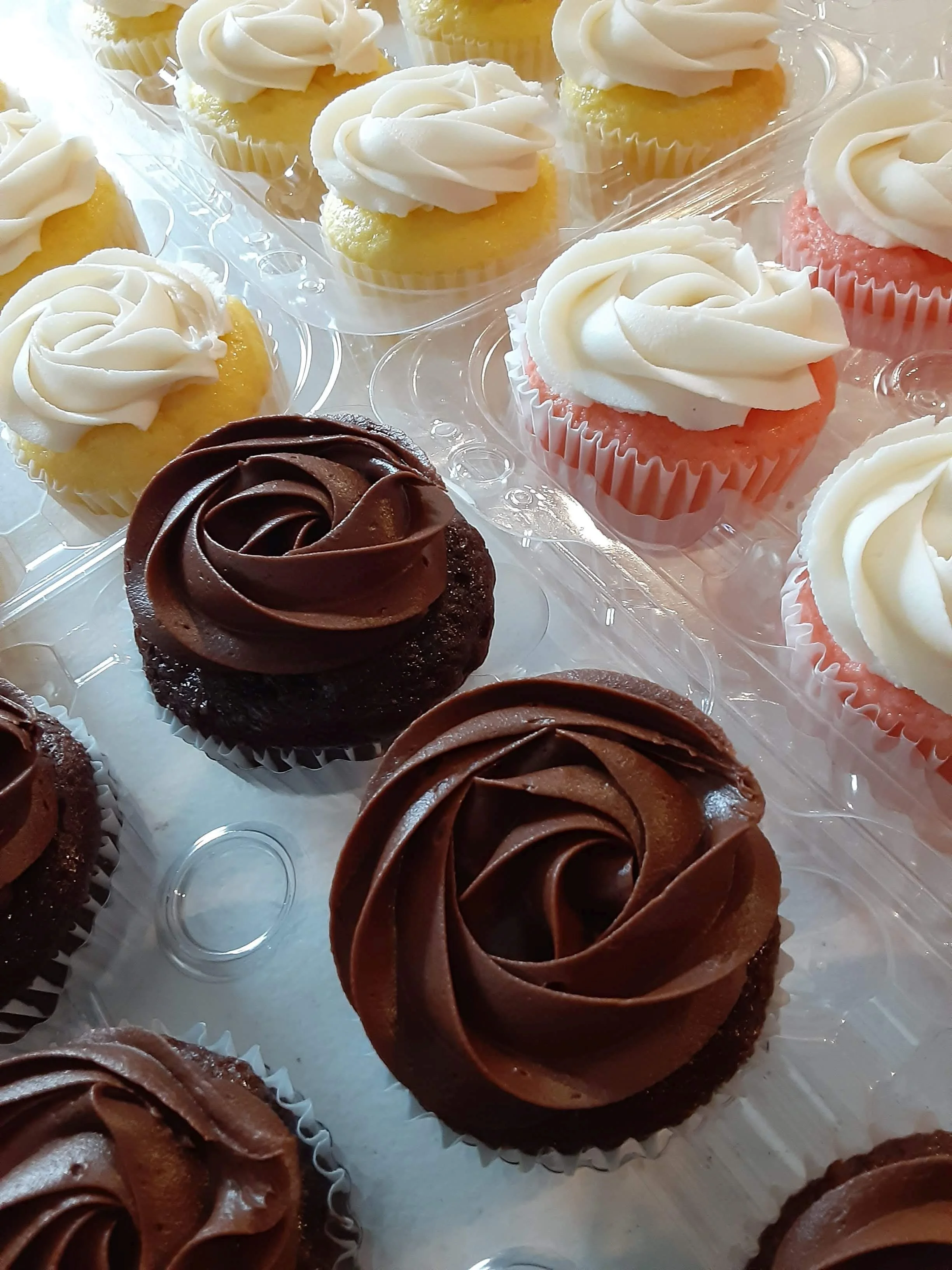 Neopolition Cupcakes.jpg