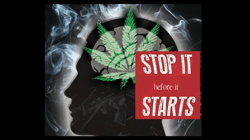 The Immature Teen Brain on Pot