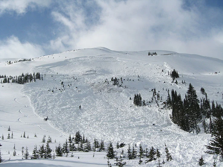 Mid Winter Avalanche Event at Aberhart in Snowbowl