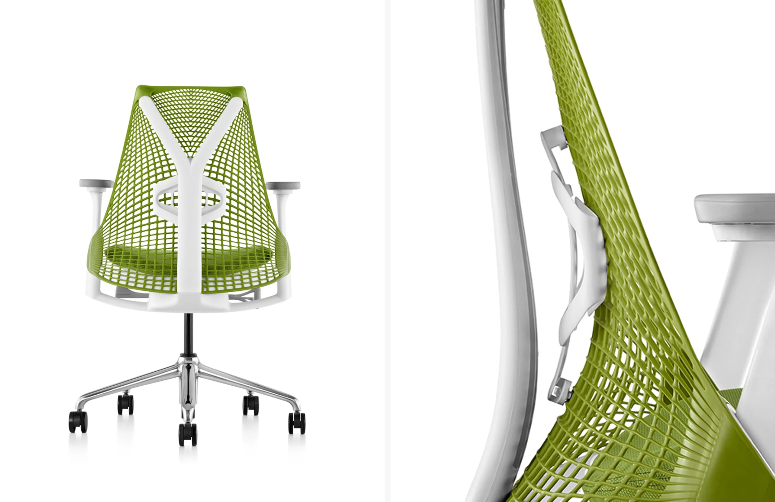 Sayl_Lumbar_11x17.JPG