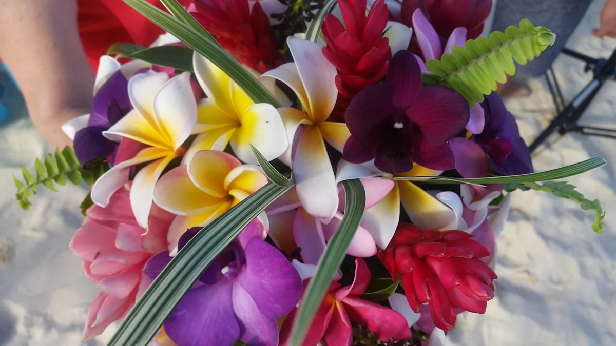 Floral.jpg