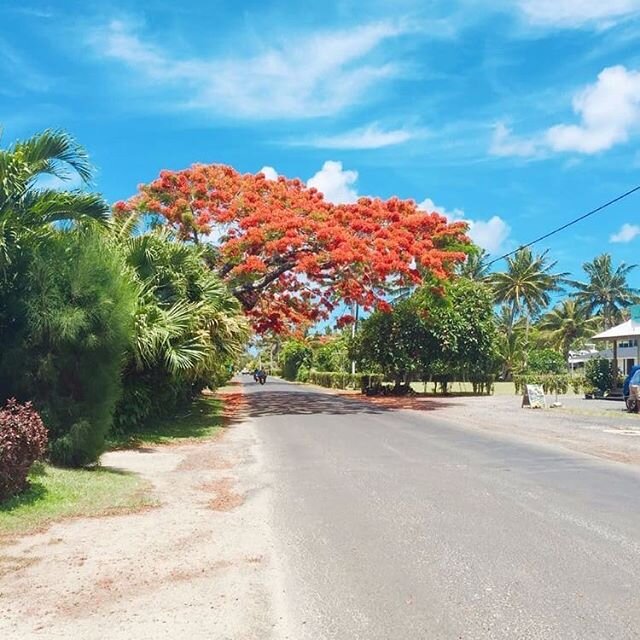 It's peaceful and quiet here right now in Rarotonga. We're excited for the days we can welcome you back to join us getting lost in an adventure with us. ​For now, we'll keep looking after the place till you get back 😉🌴