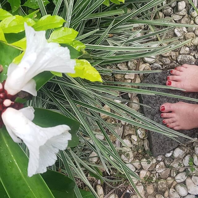 Barefoot in paradise, what more do you need? 👣🌸