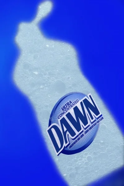 Dawn.jpg