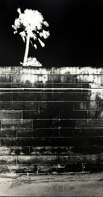 Ha Ha Wall
