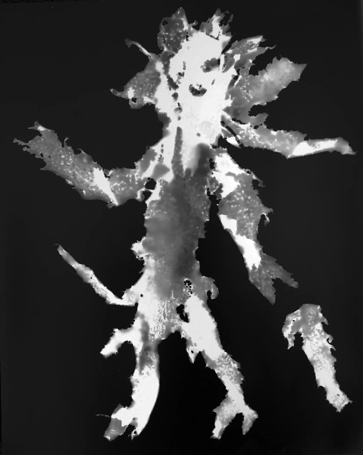 Sigmund. 30x40cm