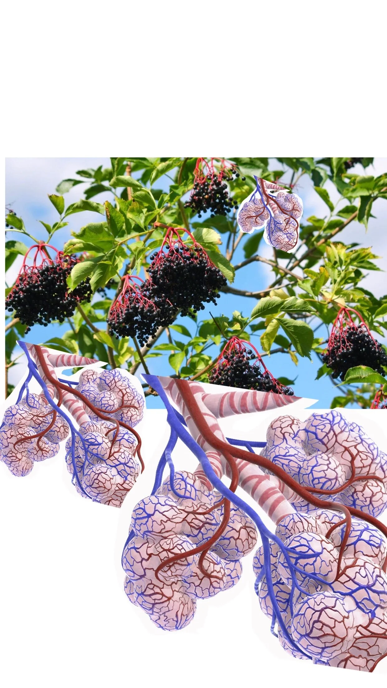 C869A28C-CD4D-4C2D-B83D-5D27FB967554