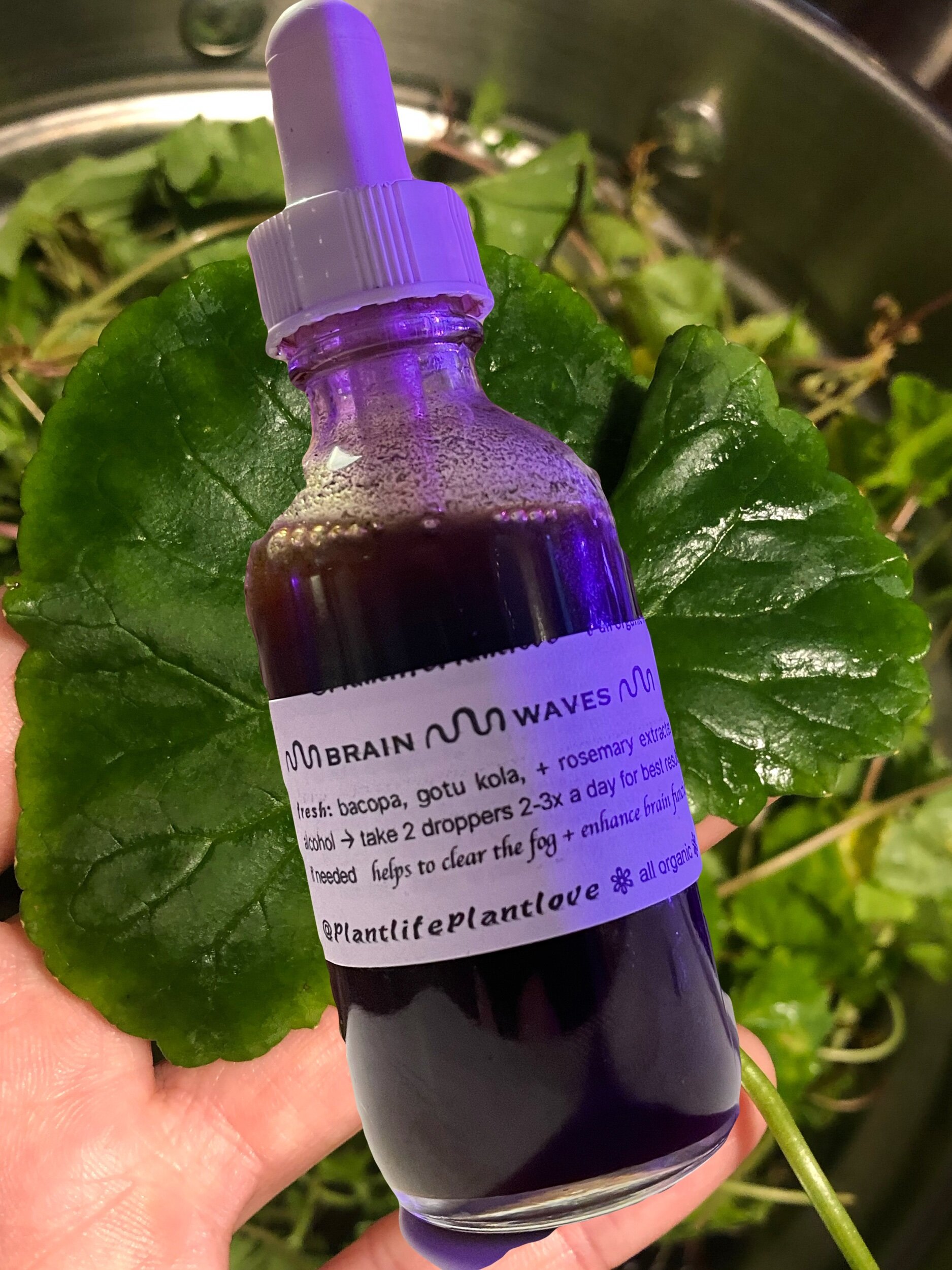 0BBFB8EE-050C-4D7B-81C8-22A8CCA722AD