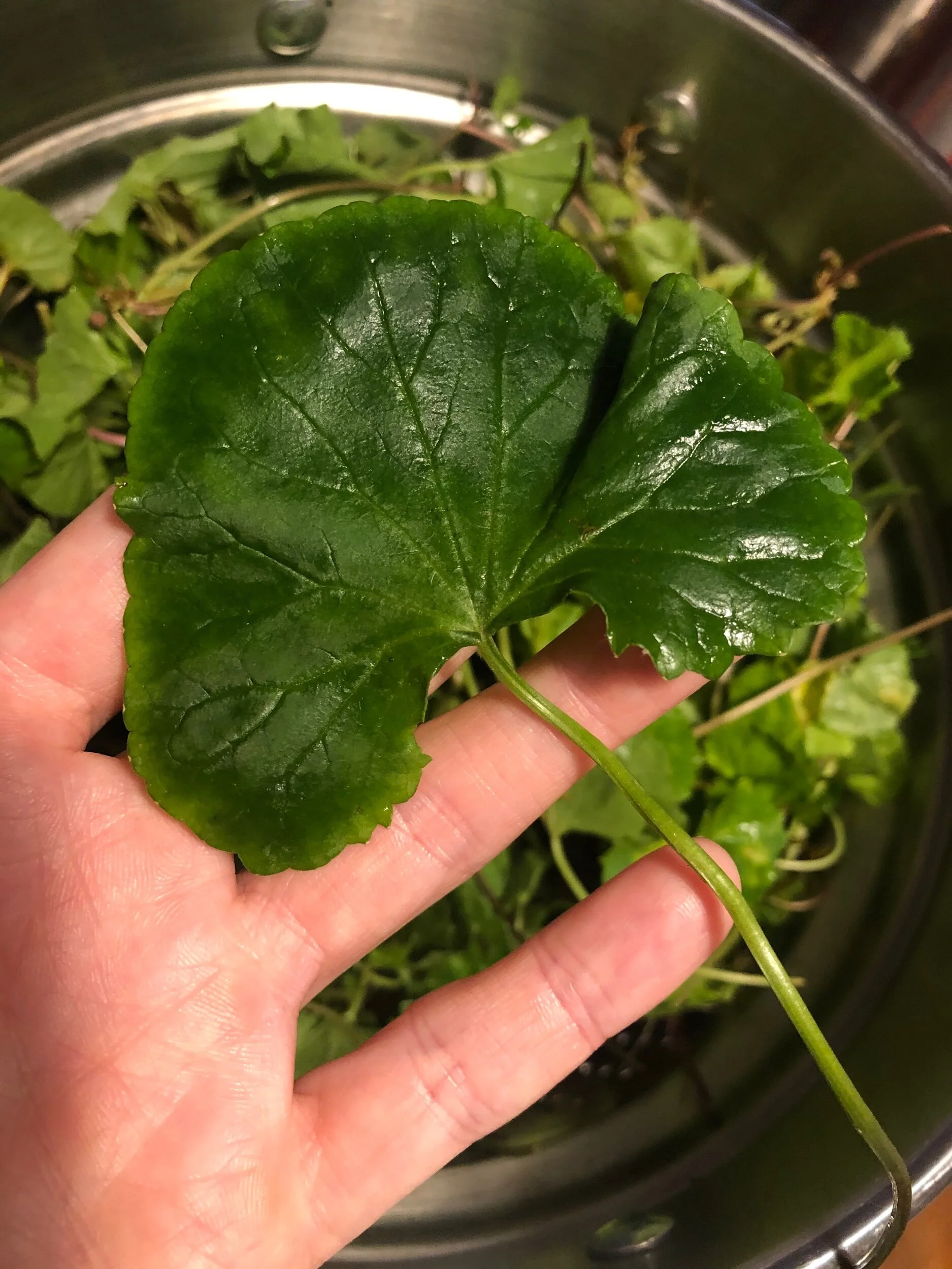 222FD90D-4B5D-4286-9098-76E0A14EE922