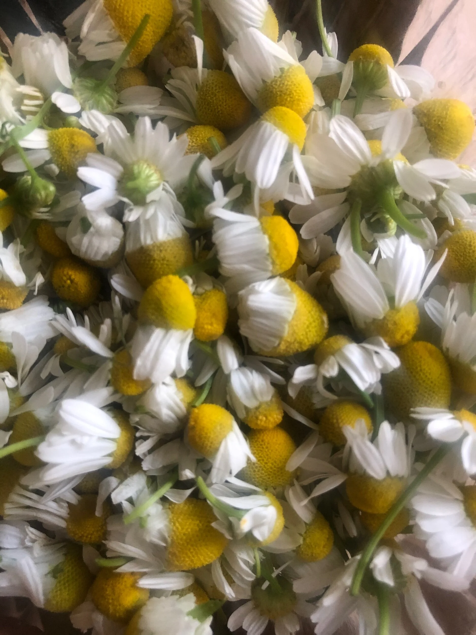 7E321245-5E61-470A-8FD0-0BC74A2C8C59