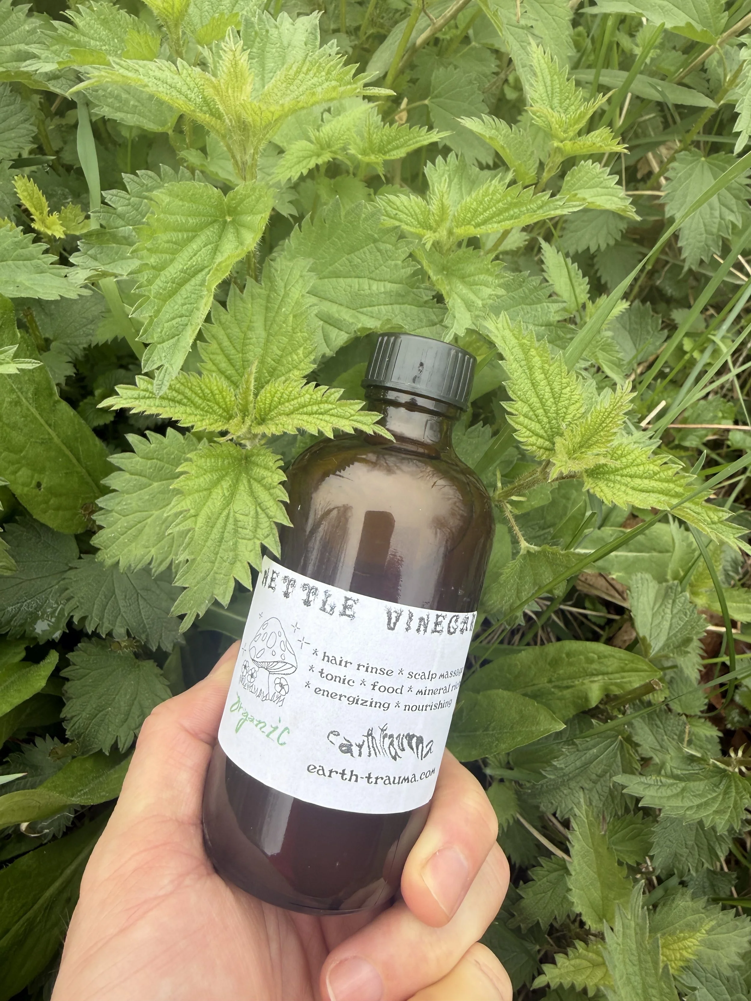 Nettle Vinegar