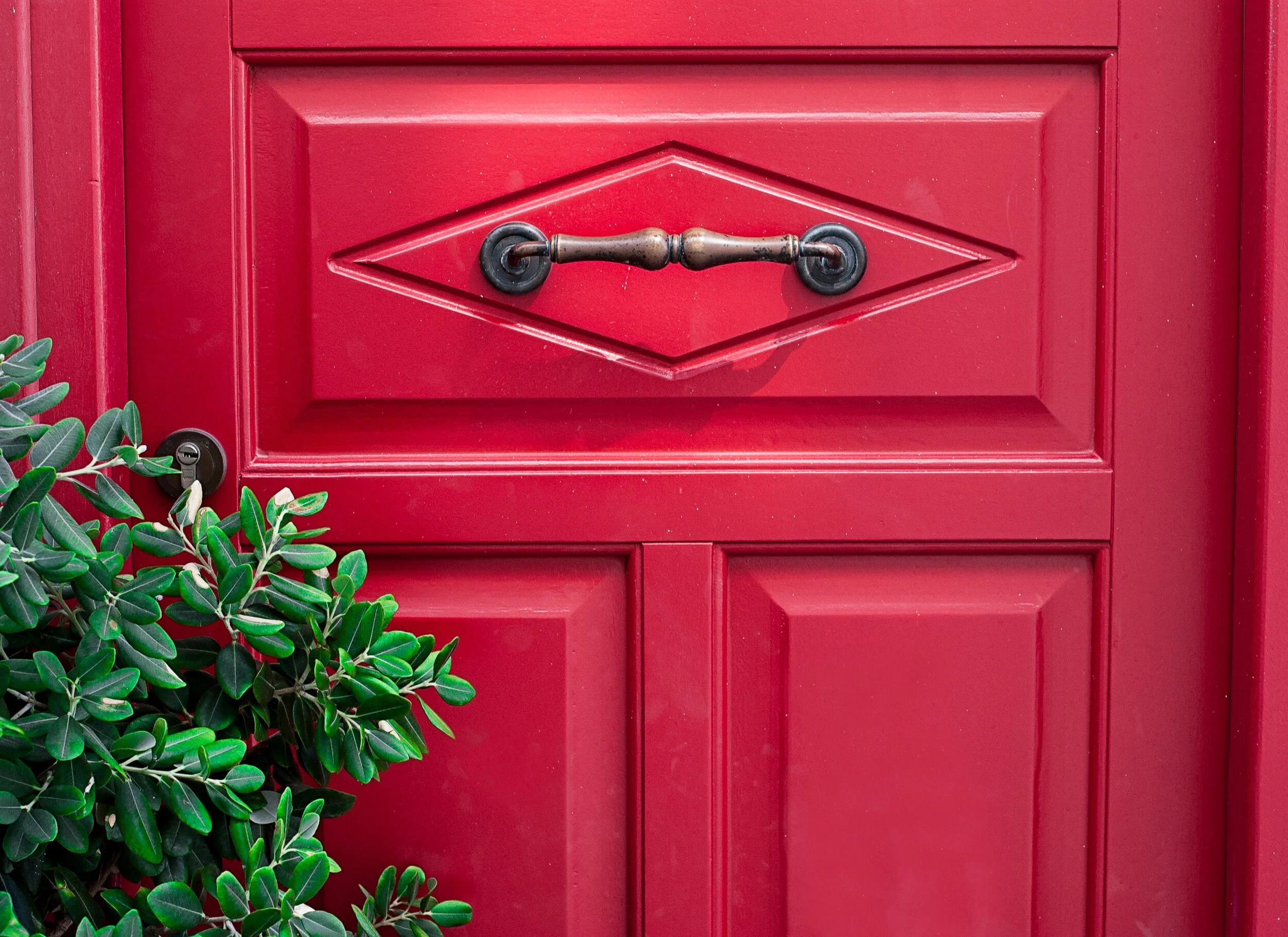 Canva - Photo of Red Door.jpg