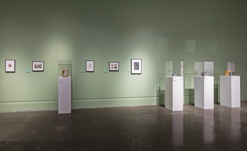 Installation view of The Family Camera: Missing Chapters, Art Gallery of Mississauga (T. Hafkenscheid, 2017)